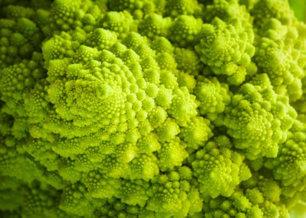 broccolo-romanesco-fibonacci-799x570-e1548844462730 Cavolo: un prezioso alleato di stagione