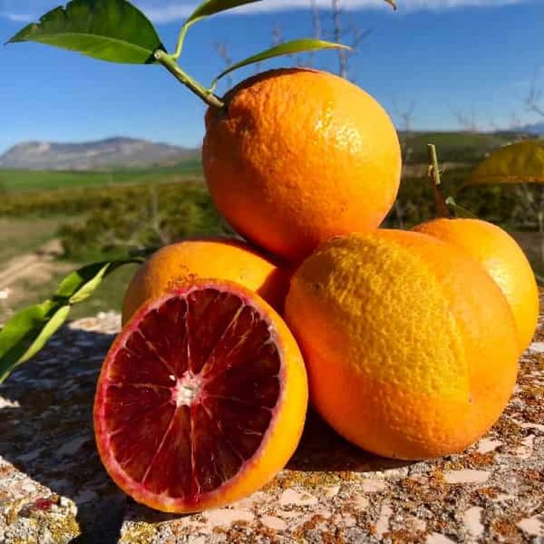 Arance Polpa Rossa Tarocco Di Sicilia Agricoltore Bio 2947