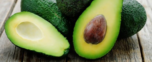 Quali sono le principali caratteristiche dell'avocado?