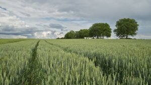 agricoltura sostenibile