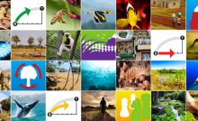 In difesa della biodiversità biologica ed umana