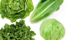 Proprietà, valori nutrizionali e calorie della lattuga