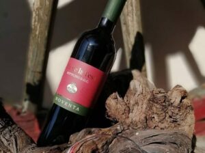 Vini Noventa, pregiati vini legati all’origine geologica del territorio di Botticino