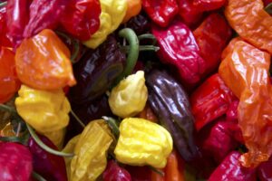 Peperoni, ortaggio estivo che regala un’ampia gamma di sapori