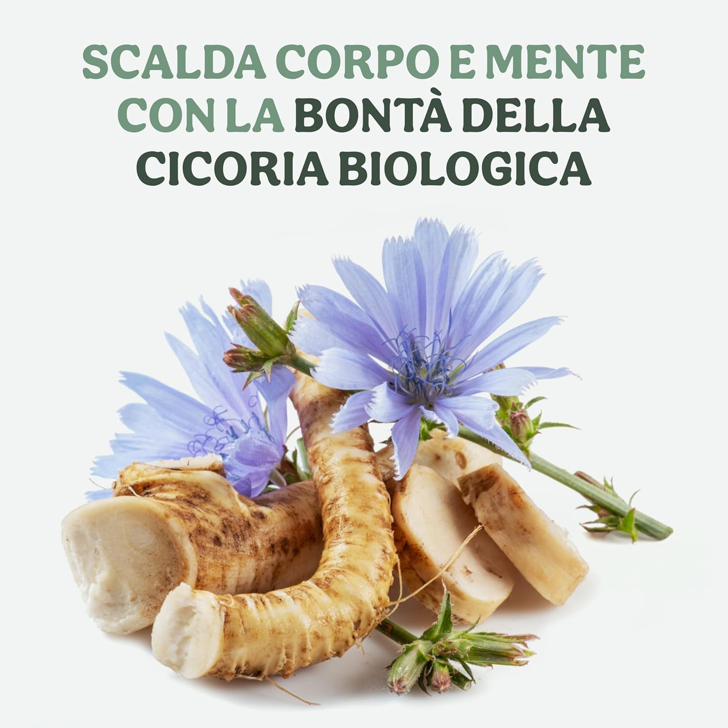 Probios Cicoria Per Moka Biologica Tostata e Macinata – Pura Naturale & Senza Caffeina - Cicoria Altamente Solubile Bio - 1Kg - immagine 5