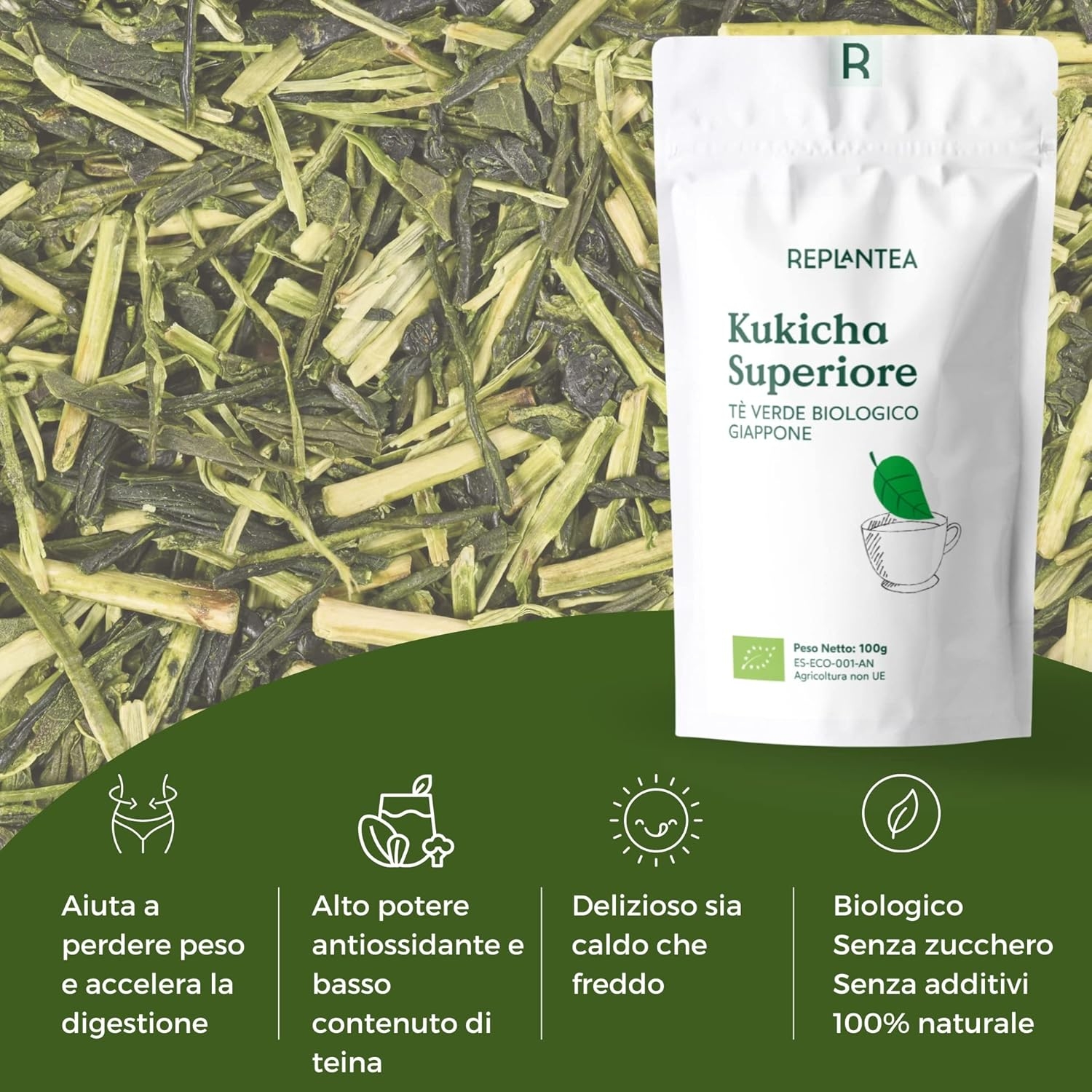 TE KUKICHA BIO 100g (50 Tazas) | Tè Verde Giapponese Kukicha Biologico REPLANTEA® - immagine 2