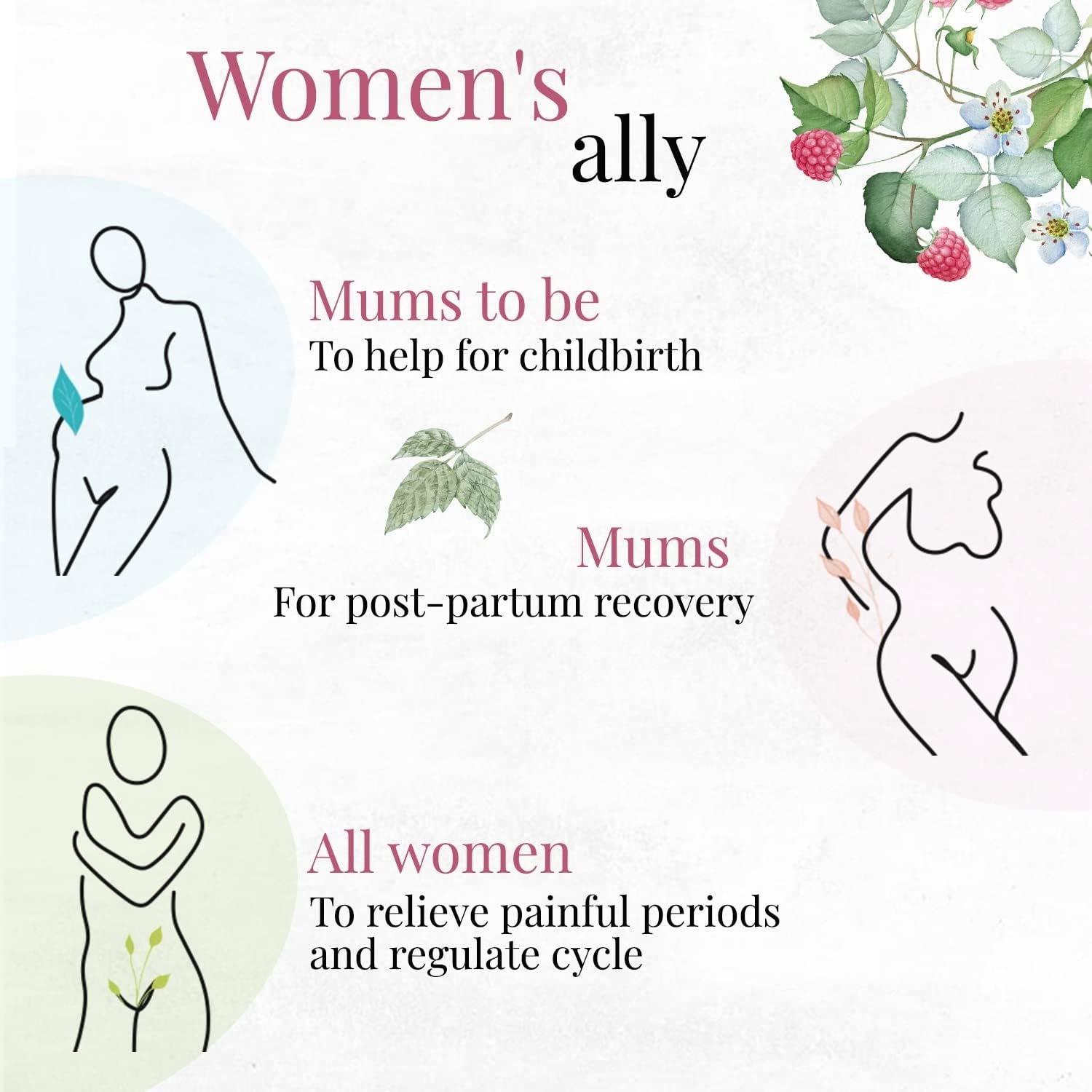 ORIGEENS Tisana Foglie Lampone BIO 200g | Red Raspberry Leaf Tea | Cura del benessere, Infusi e Tisane per Maternita e Gravidanza, Dolori Mestruali - immagine 3