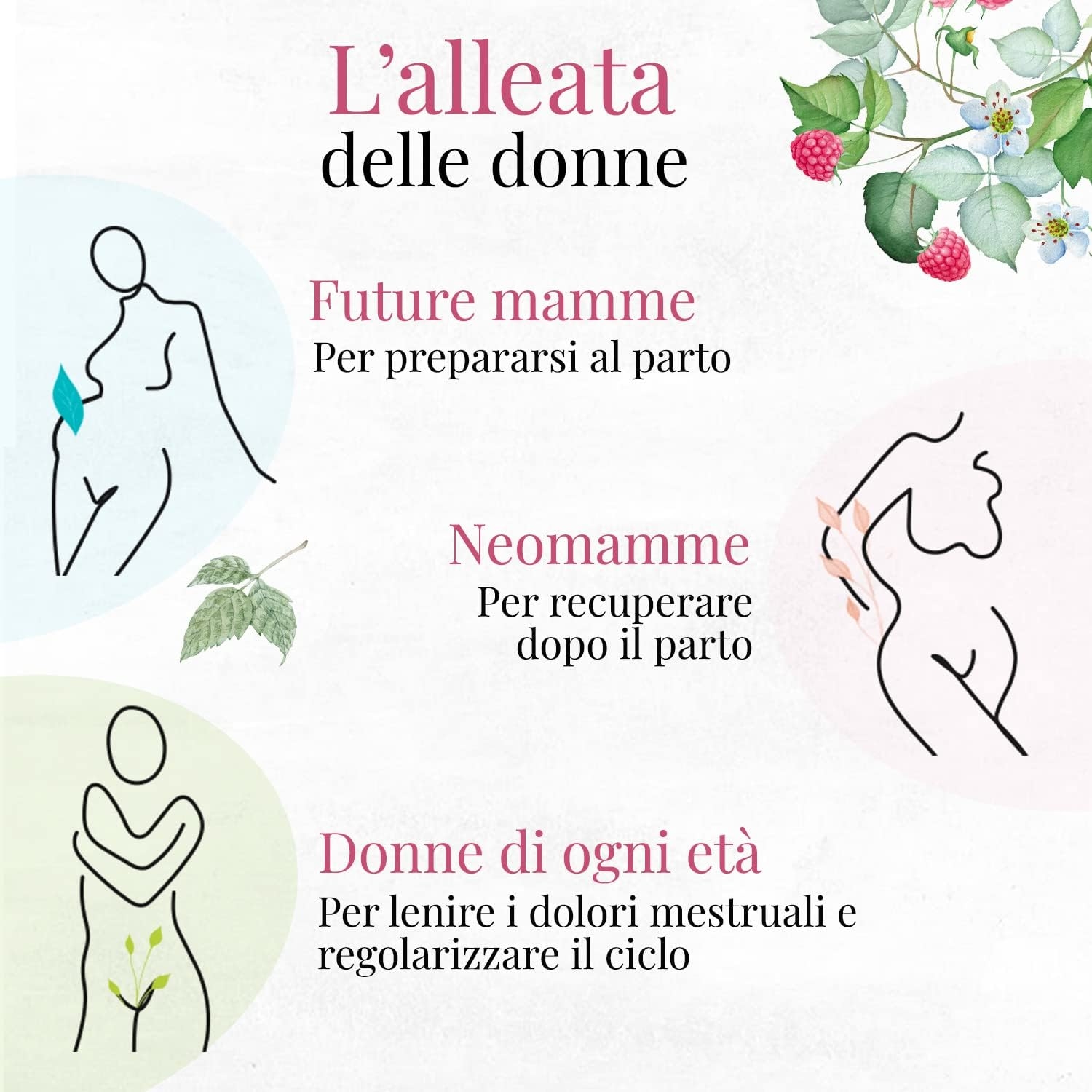 ORIGEENS Tisana Foglie Lampone BIO 200g | Red Raspberry Leaf Tea | Cura del benessere, Infusi e Tisane per Maternita e Gravidanza, Dolori Mestruali - immagine 4