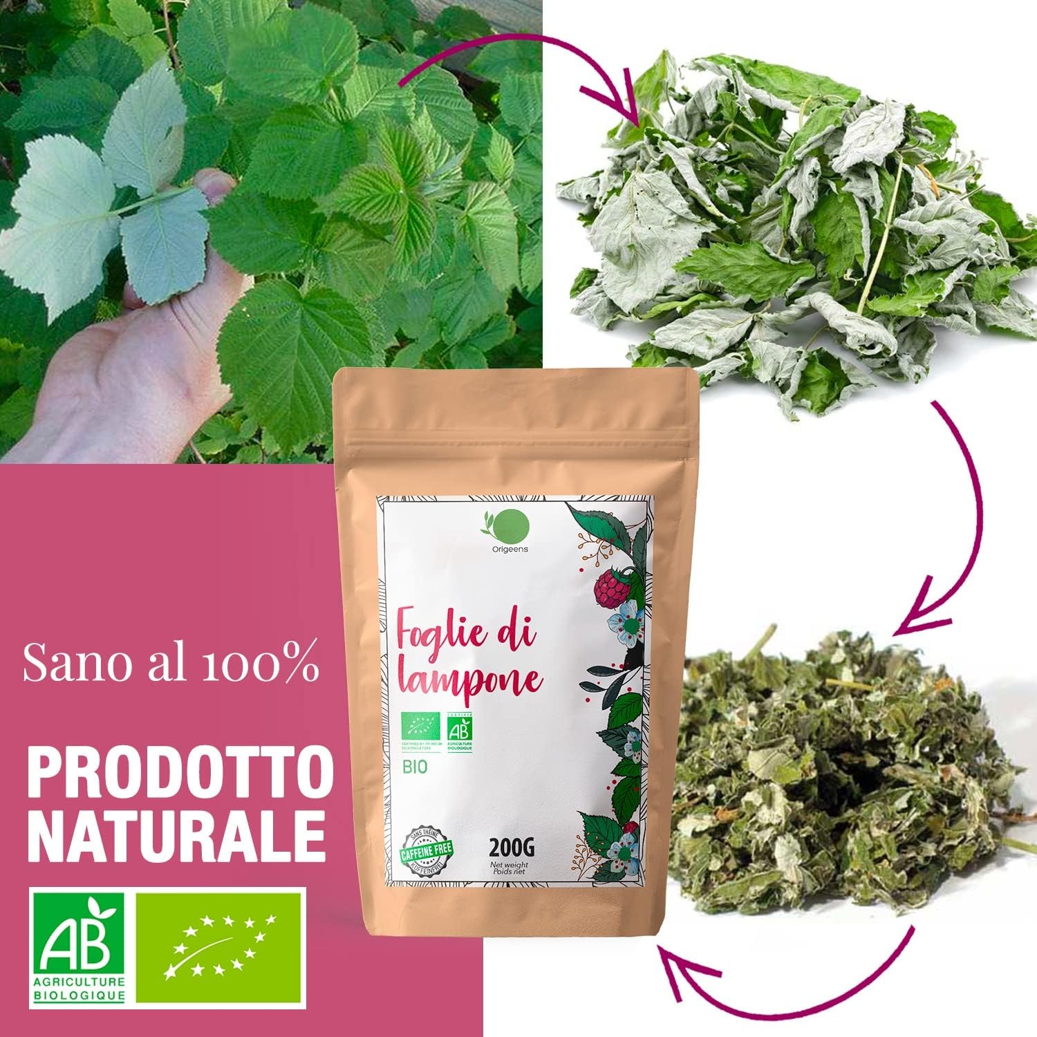 ORIGEENS Tisana Foglie Lampone BIO 200g | Red Raspberry Leaf Tea | Cura del benessere, Infusi e Tisane per Maternita e Gravidanza, Dolori Mestruali - immagine 6