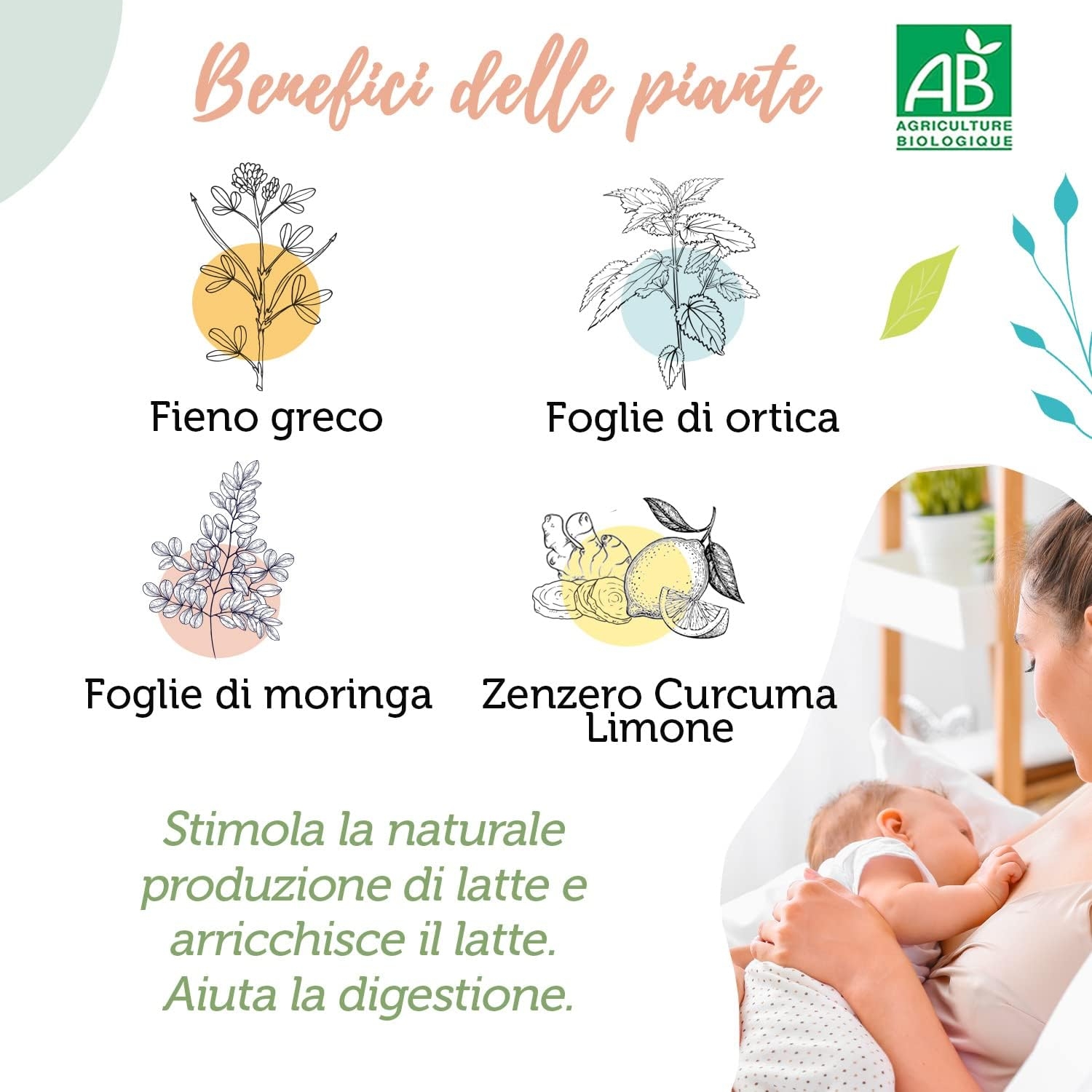 ORIGEENS Tisana Foglie Lampone BIO 200g | Red Raspberry Leaf Tea | Cura del benessere, Infusi e Tisane per Maternita e Gravidanza, Dolori Mestruali - immagine 18