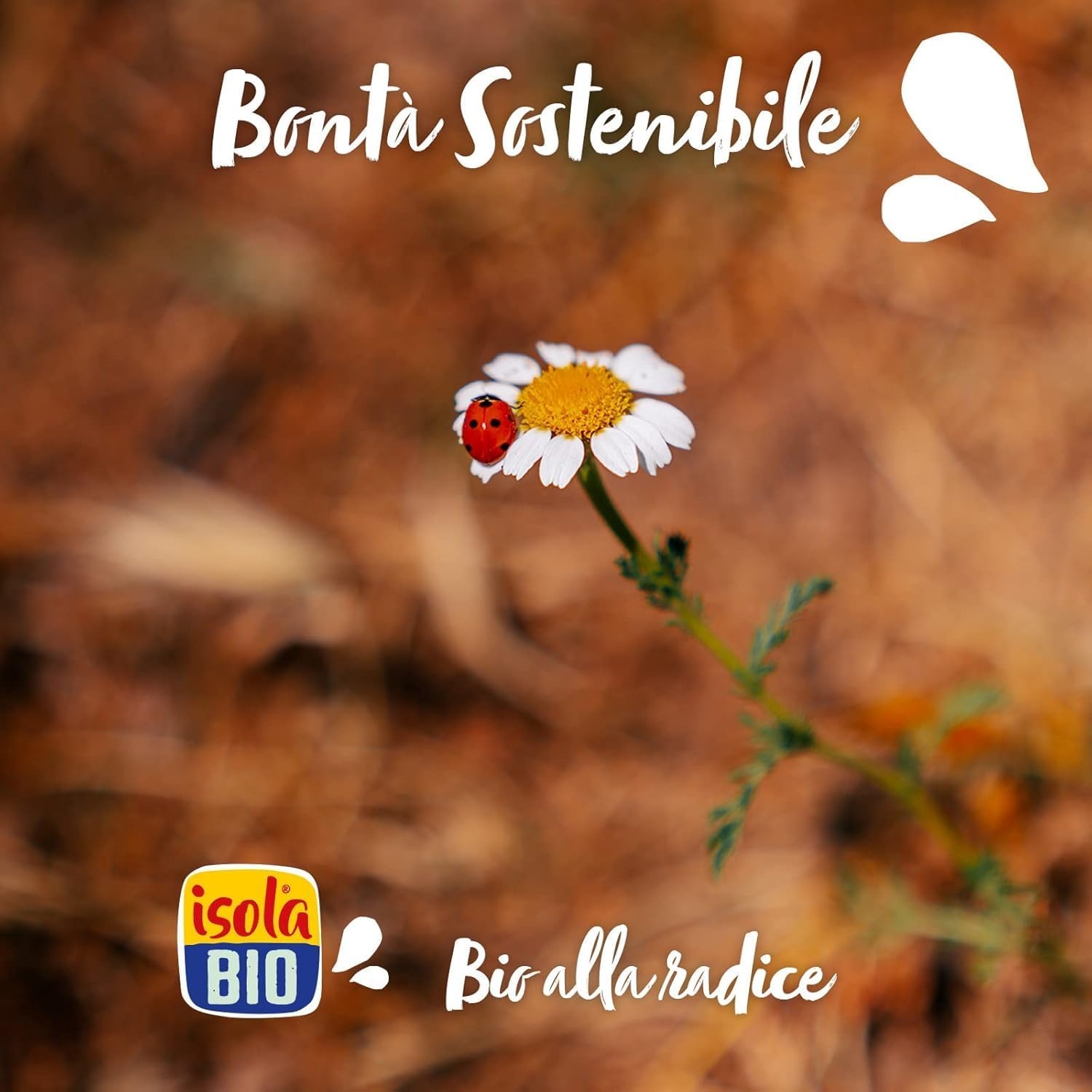 ISOLA BIO Succo di Frutta Biologico ACE, Arancia, Carota e Limone, 100% Ingredienti Naturali, Frutta Italiana in Mini Brik per Colazione e Merenda, Formato 3 confezioni da 200 ml - immagine 5