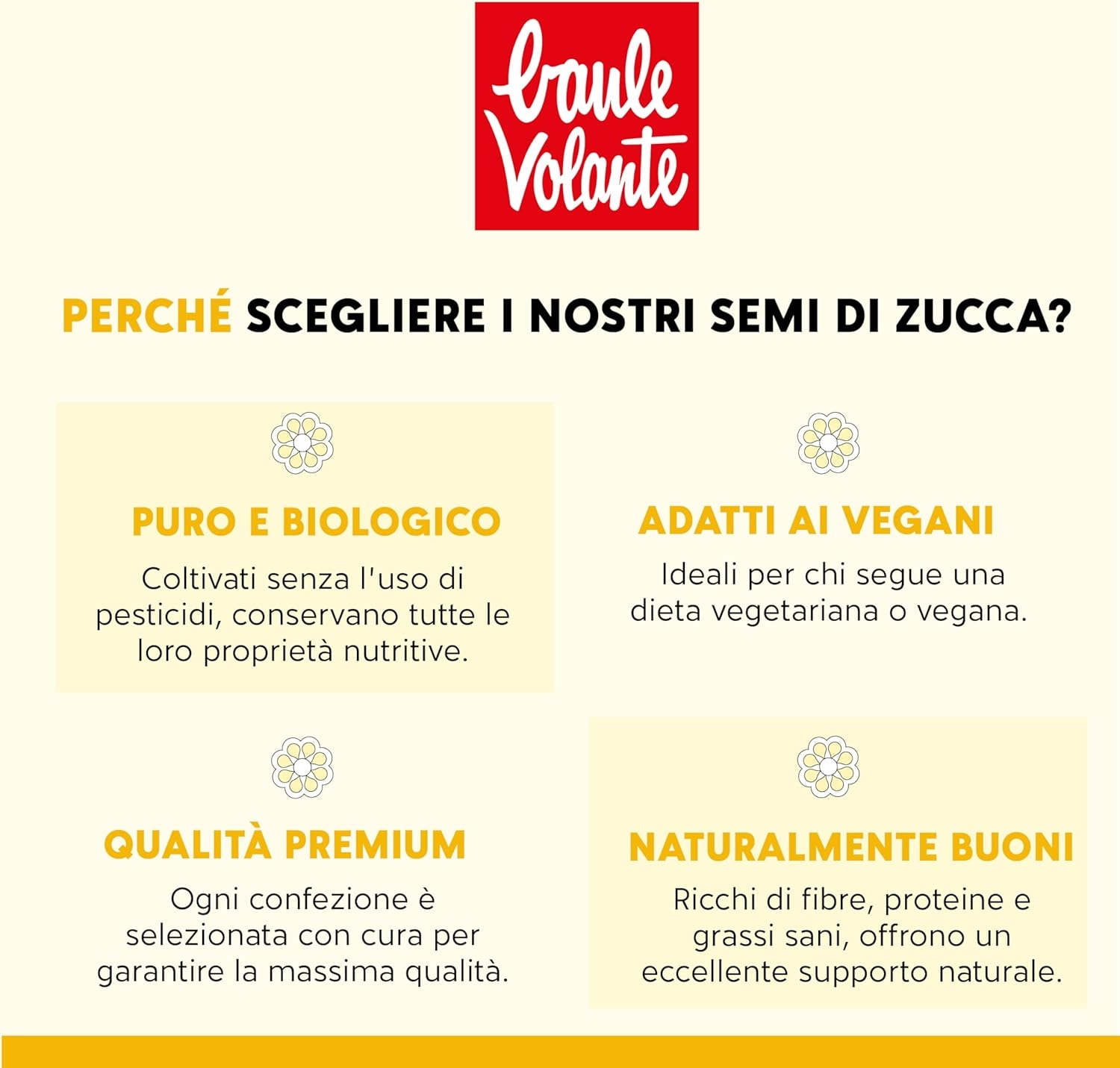Baule Volante Semi di Zucca Bio - Ricco di Proteine e Fibre - Perfetti per una dieta vegetariana o vegana - 200g - immagine 7