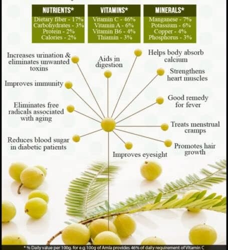 Polveri Di Amla Biologica 250g - immagine 4