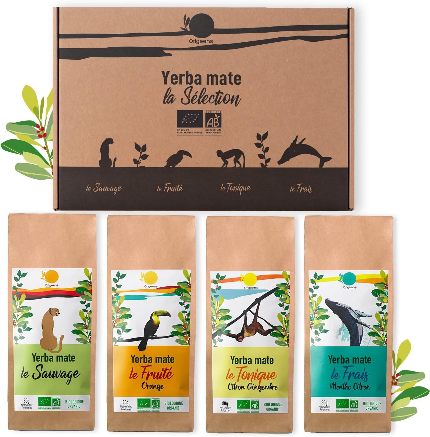 ORIGEENS COFANETTO MATE BIO x4 | La selvaggia - La fruttata - La tonica - La fresca | Yerba mate Bio 4x80gr | Set mate, Idea regalo