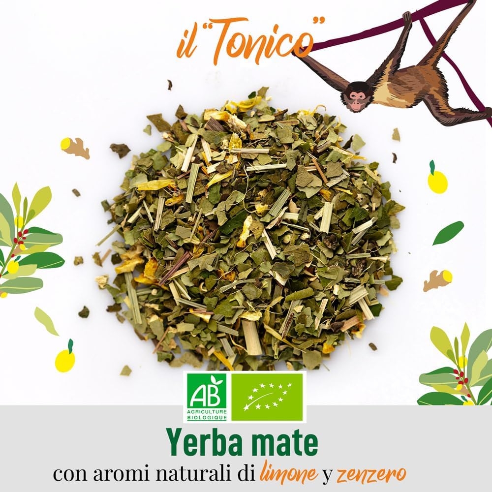 ORIGEENS COFANETTO MATE BIO x4 | La selvaggia - La fruttata - La tonica - La fresca | Yerba mate Bio 4x80gr | Set mate, Idea regalo - immagine 24