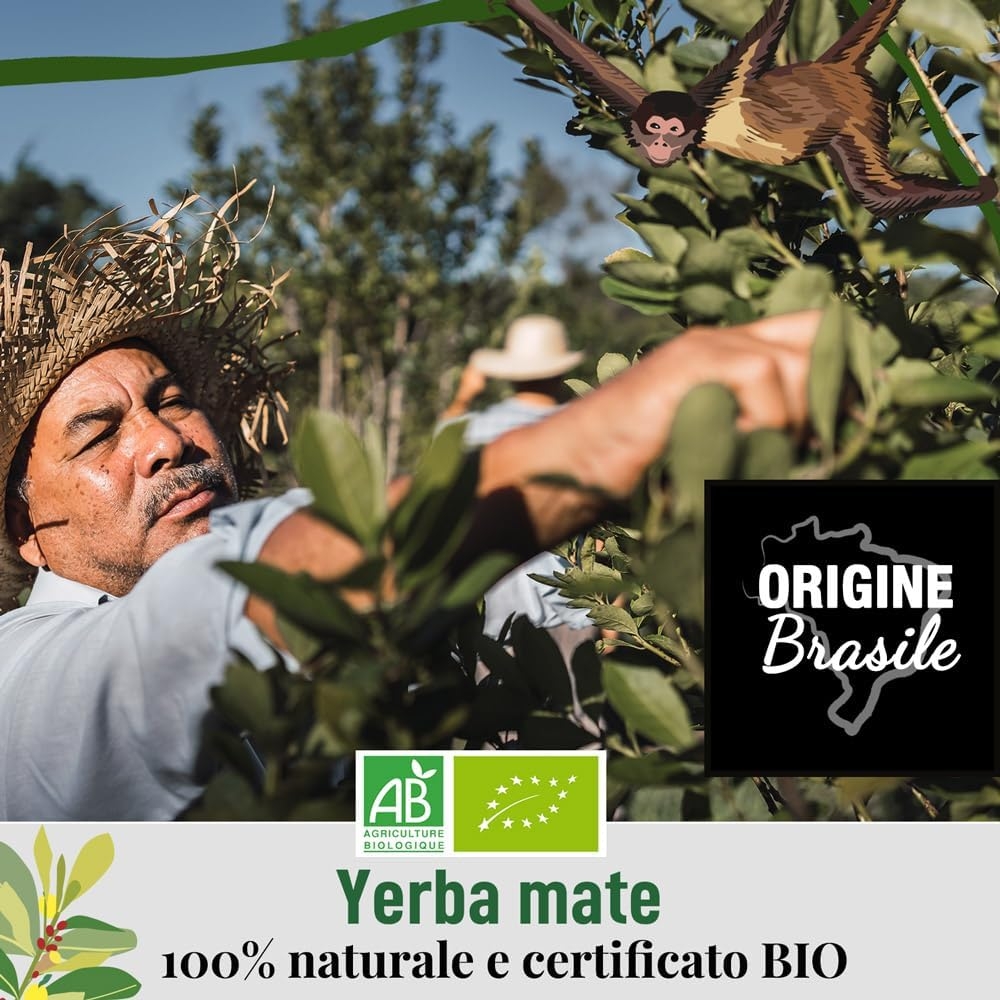ORIGEENS COFANETTO MATE BIO x4 | La selvaggia - La fruttata - La tonica - La fresca | Yerba mate Bio 4x80gr | Set mate, Idea regalo - immagine 29