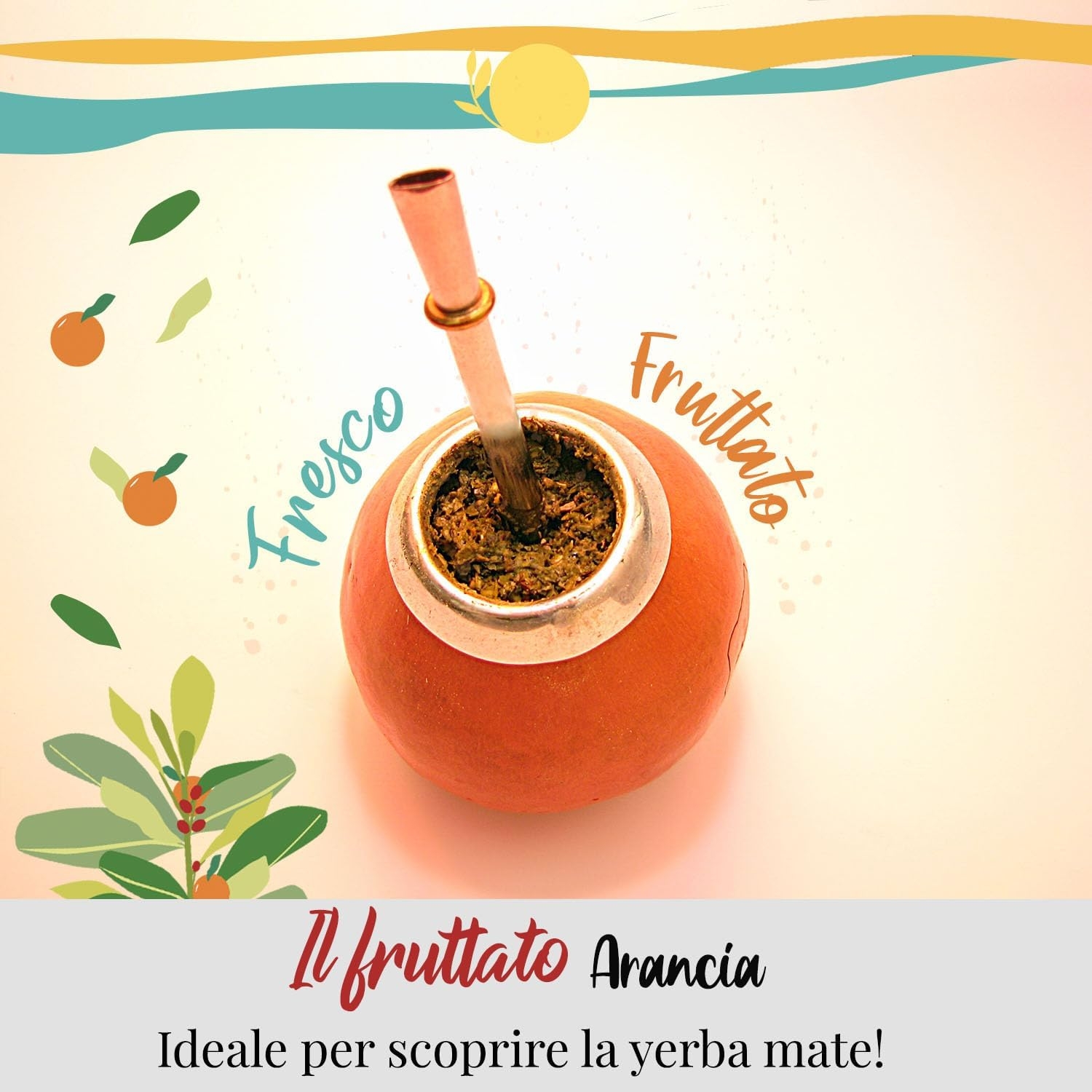 ORIGEENS COFANETTO MATE BIO x4 | La selvaggia - La fruttata - La tonica - La fresca | Yerba mate Bio 4x80gr | Set mate, Idea regalo - immagine 33