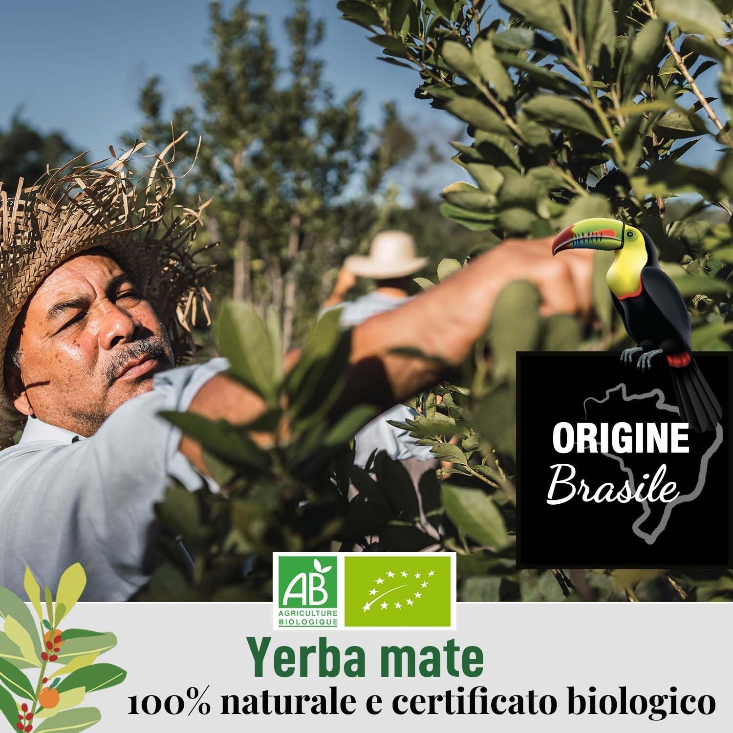 ORIGEENS COFANETTO MATE BIO x4 | La selvaggia - La fruttata - La tonica - La fresca | Yerba mate Bio 4x80gr | Set mate, Idea regalo - immagine 36