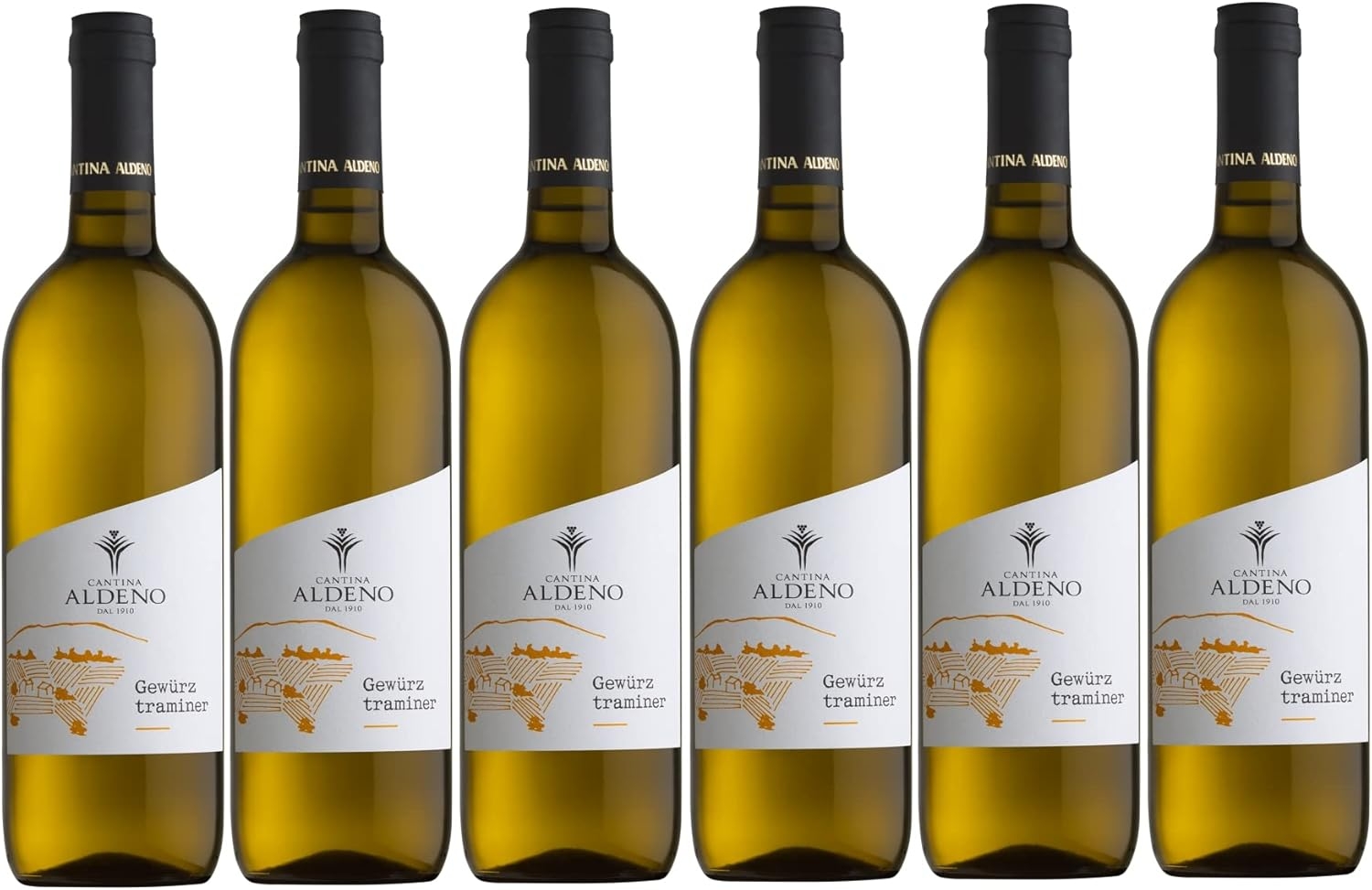 Confezione 6 bottiglie GEWURZTRAMINER Bio Vegan | Vino Bianco Trentino DOC | Cantina Aldeno - Linea BIO VEGANA (Gewurztraminer)