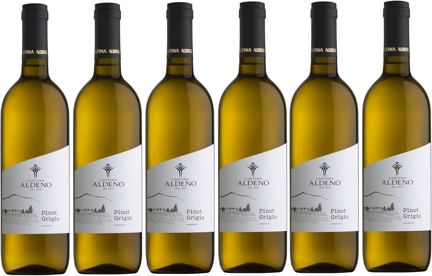 Confezione 6 bottiglie GEWURZTRAMINER Bio Vegan | Vino Bianco Trentino DOC | Cantina Aldeno - Linea BIO VEGANA (Gewurztraminer) - immagine 3