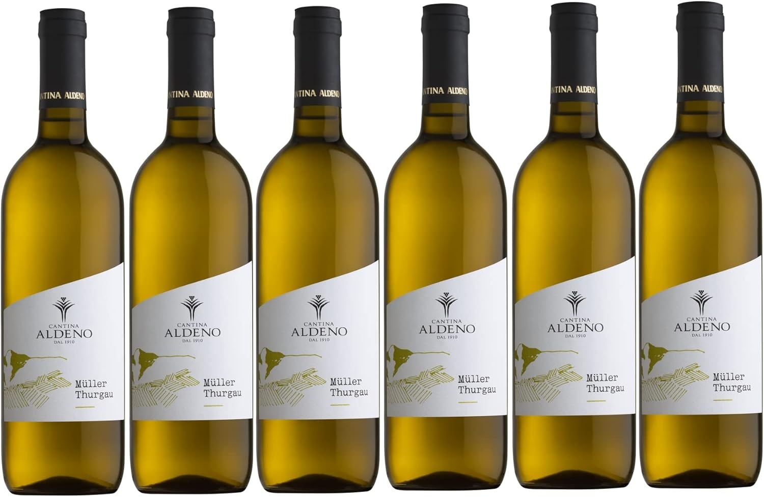 Confezione 6 bottiglie GEWURZTRAMINER Bio Vegan | Vino Bianco Trentino DOC | Cantina Aldeno - Linea BIO VEGANA (Gewurztraminer) - immagine 9