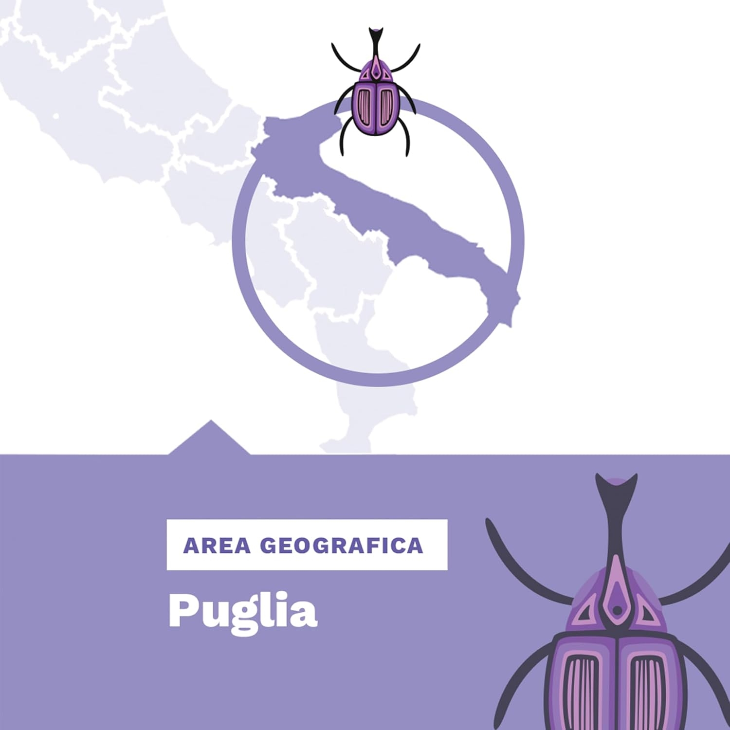 b.io bpuntoio Puglia Igp Primitivo vino biologico - immagine 7
