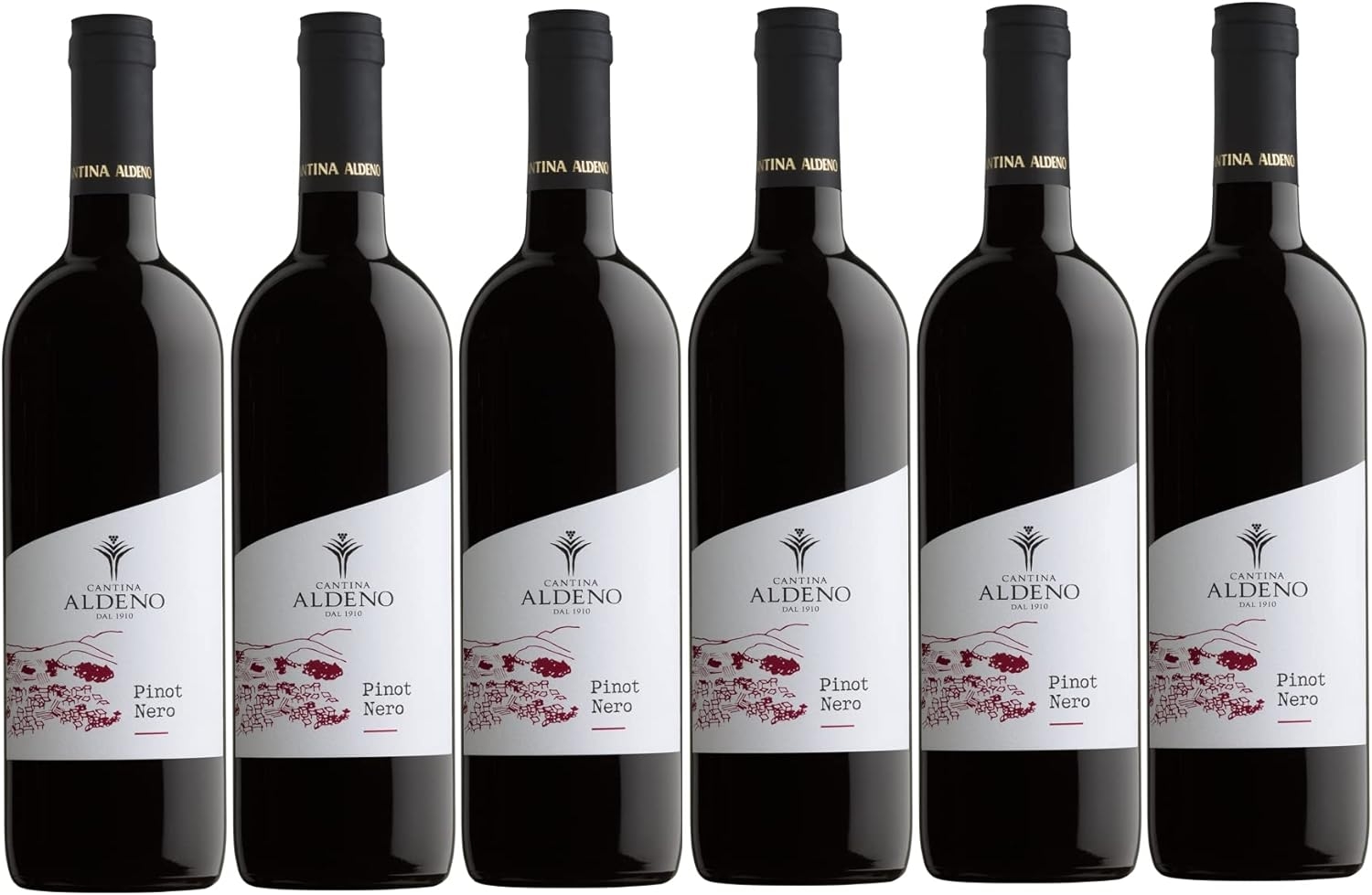 Confezione 6 bottiglie PINOT NERO Bio Vegan | Vino Rosso Trentino DOC | Cantina Aldeno Linea Bio Vegan (Pinot Nero)