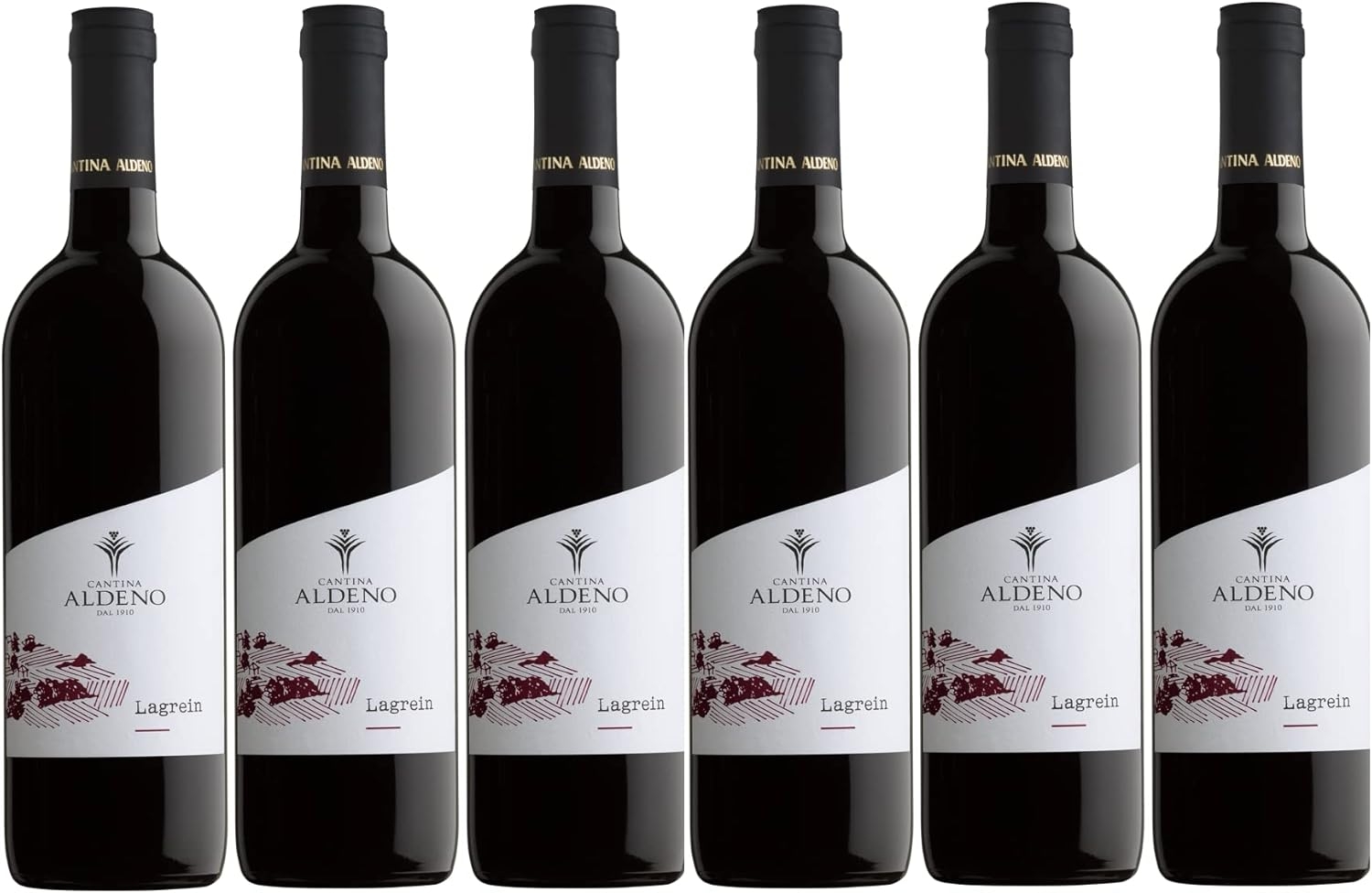 Confezione 6 bottiglie PINOT NERO Bio Vegan | Vino Rosso Trentino DOC | Cantina Aldeno Linea Bio Vegan (Pinot Nero) - immagine 3