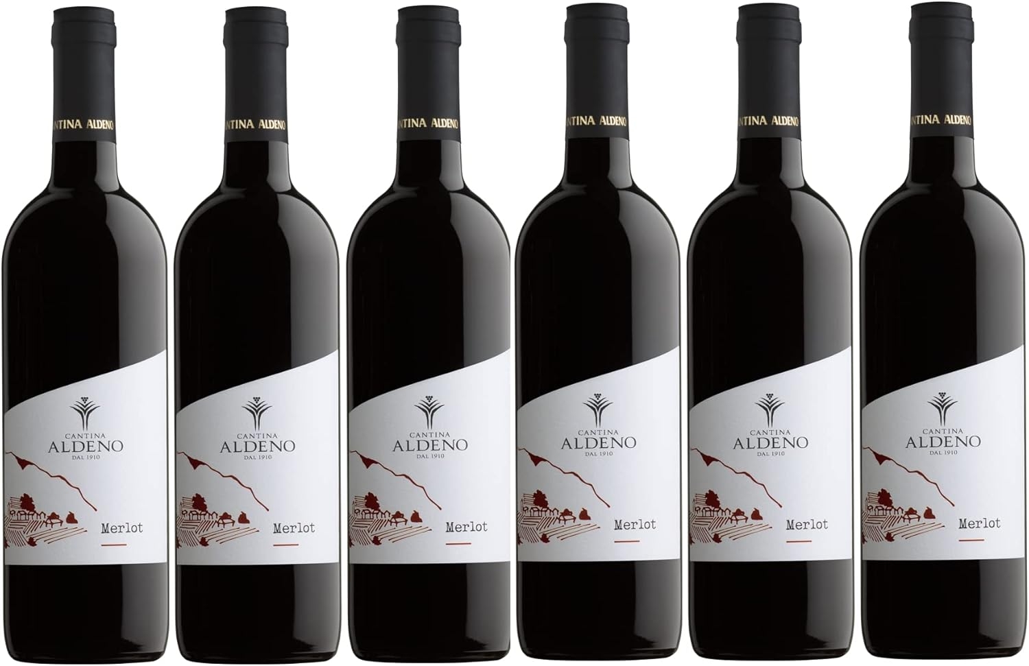 Confezione 6 bottiglie PINOT NERO Bio Vegan | Vino Rosso Trentino DOC | Cantina Aldeno Linea Bio Vegan (Pinot Nero) - immagine 5