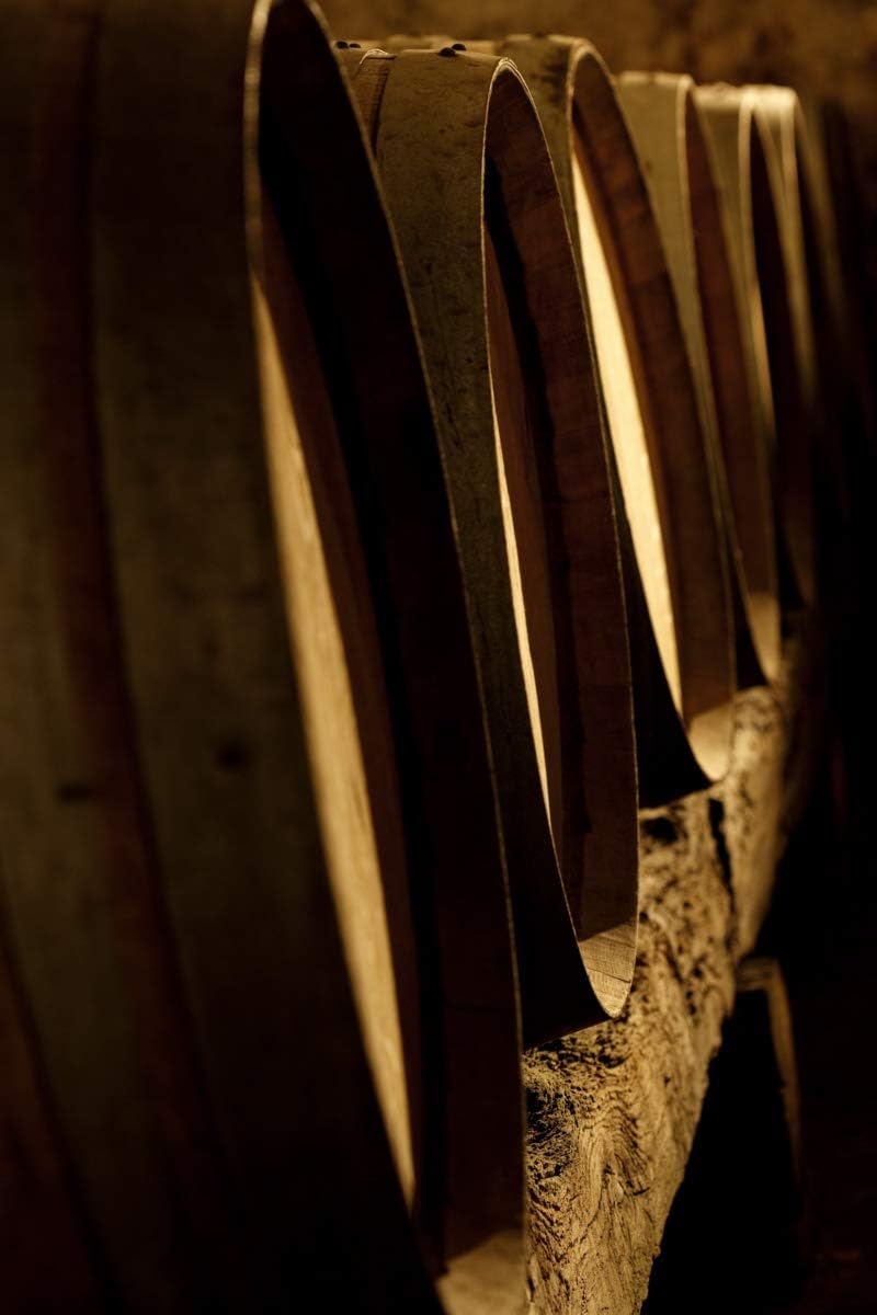 VINO ROSSO - MERLOT - 2018 - GIOL - IGT - MARCA TREVIGIANA - SENZA SOLFITI AGGIUNTI - TAPPO STELVIN - VEGANO - BIOLOGICO - ORGANICO - CL. 75 - immagine 3