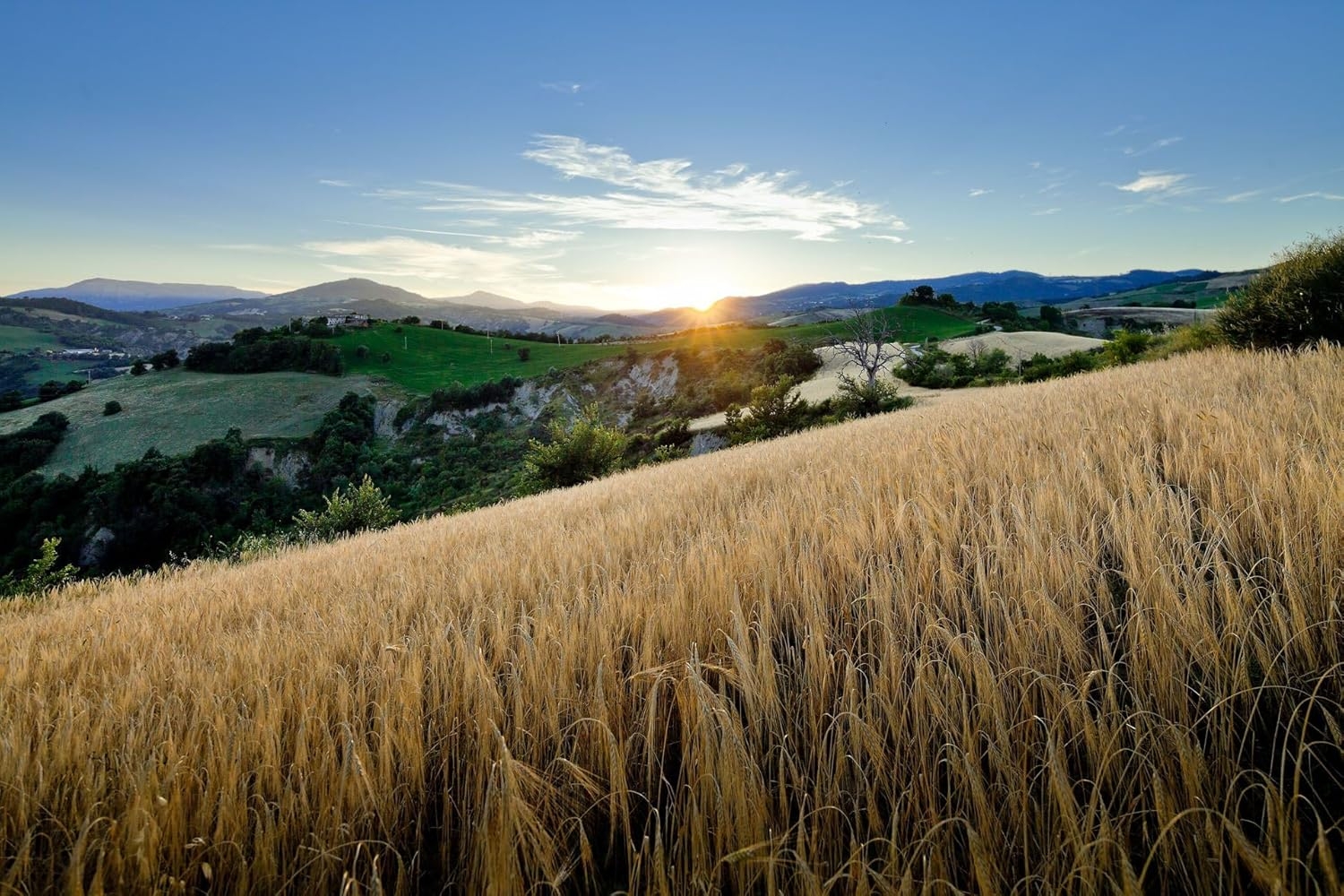 Prometeo, Tagliatelle nido integrali di farro "le farrette" bio, 250g - immagine 5