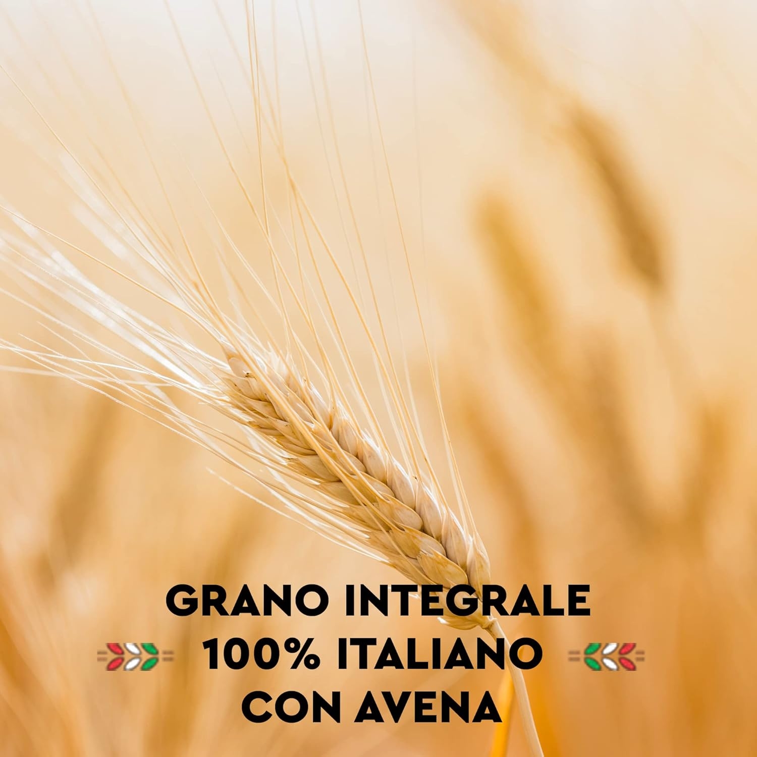 Armando, Il tortiglione Integrale BIO 500g – Pasta Integrale Bio di Grano Duro 100% Italiano, Trafilata al Bronzo, Ricca di Fibre, Ecopack Riciclabile - 12 Confezioni da 500 g (Totale 6 kg) - immagine 4