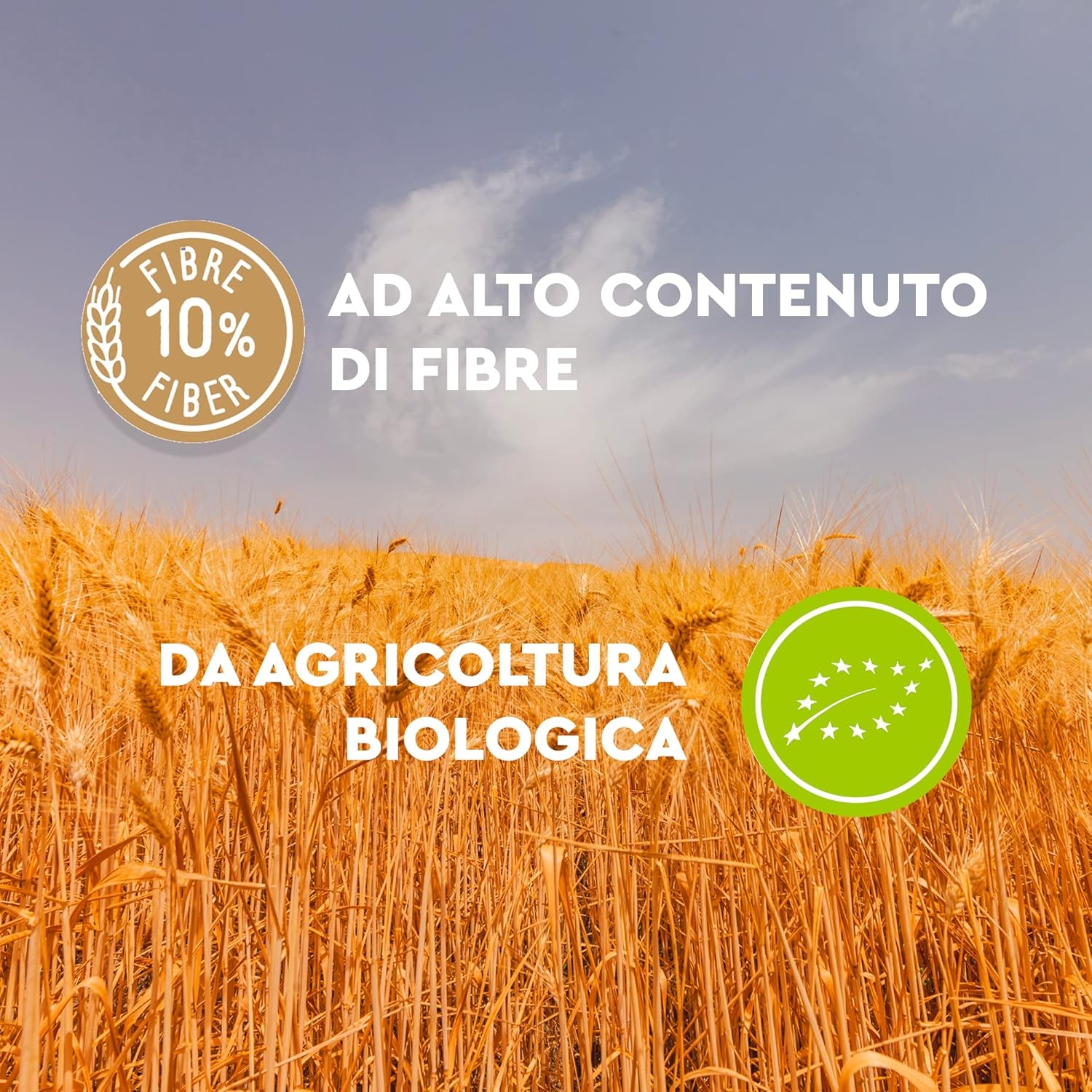 Armando, Il tortiglione Integrale BIO 500g – Pasta Integrale Bio di Grano Duro 100% Italiano, Trafilata al Bronzo, Ricca di Fibre, Ecopack Riciclabile - 12 Confezioni da 500 g (Totale 6 kg) - immagine 5